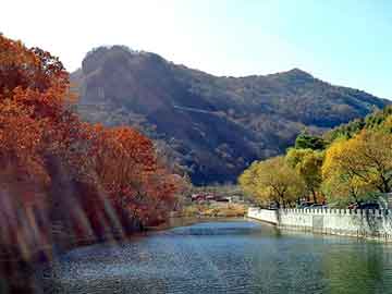 新澳天天开奖资料大全旅游团，黄莺的叫声